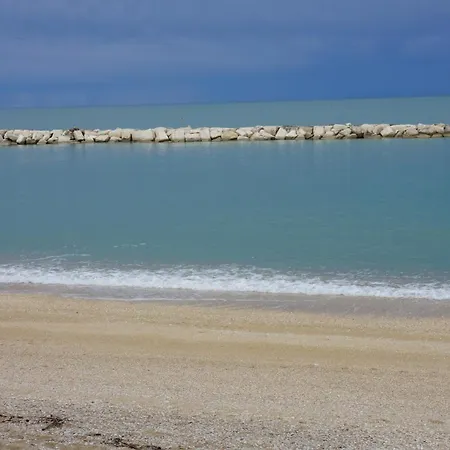 Cleo Girasole * Porto Recanati